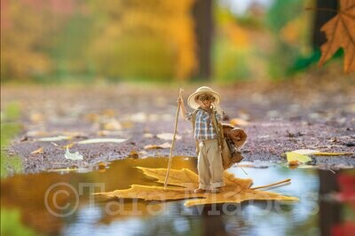 Leaf Boat in Forest in Autumn Digital Background Backdrop