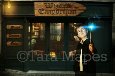 Wizard Shop - Magic Shop - Shop for Wands Potions and Owls - Digital Background / Backdrop