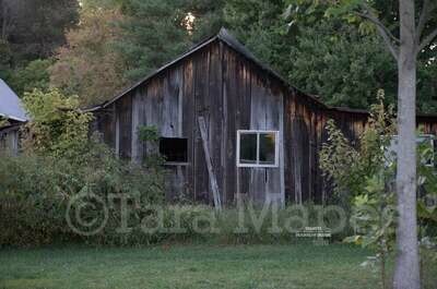 Old Cabin - Abandoned House - Scary Haunted House -  Nature Digital Background Backdrop
