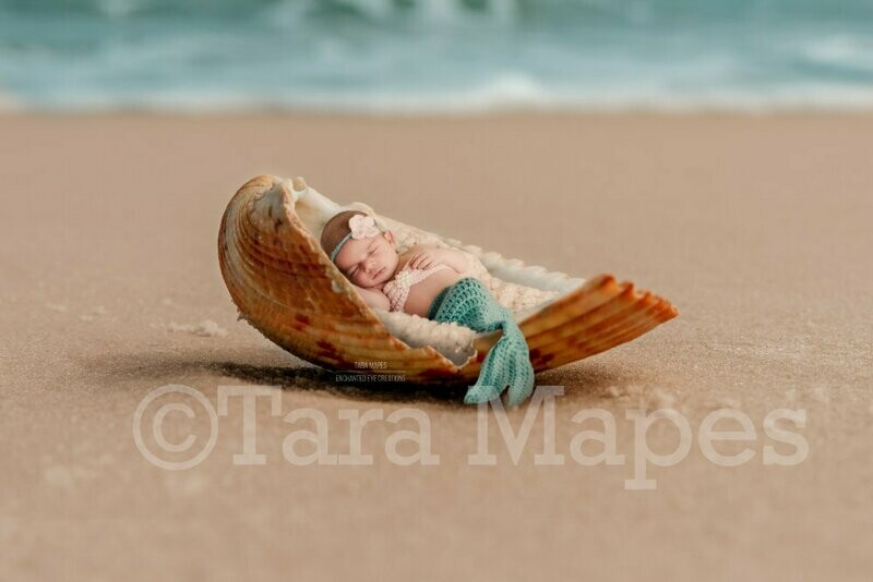 Shell on Beach - Mermaid Scene or Newborn Scene Digital Background Backdrop Tail Version Included TWO PACK