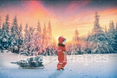 Pulling Christmas Tree on Sled -Winter Snowy Scene- Separate Snow Overlay - Christmas Digital Background Backdrop