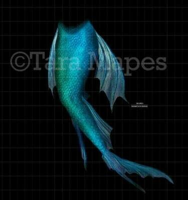 Mermaid Tail Overlay - Mermaid Tail - Mermaid Fin - PNG  overlay