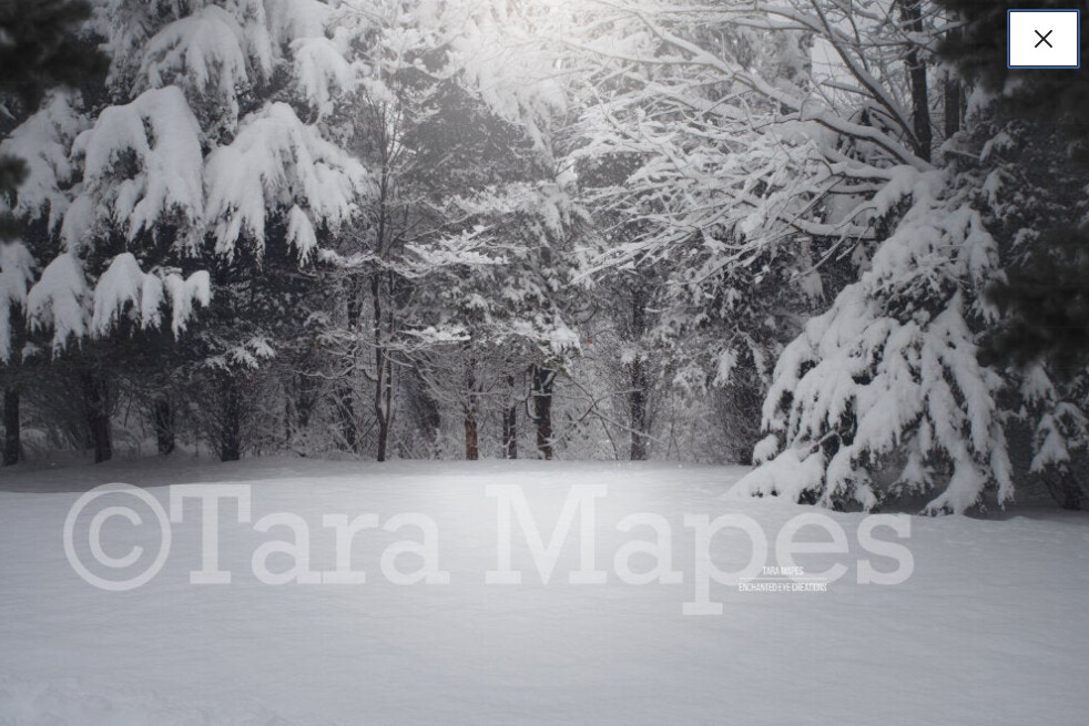 Winter Path Snowy Scene with Pine Trees and Frost Digital Background / Backdrop