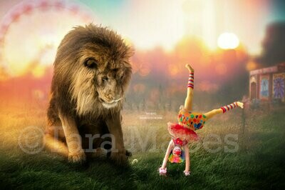 Lion at Circus - Lion Sitting Laying on Fairgrounds - in Field - Digital Background / Backdrop