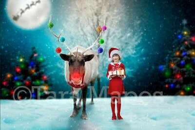 Reindeer at North Pole - Snowy Scene with Reindeer Ornaments - Christmas Holiday Digital Background Backdrop