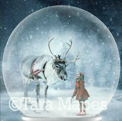 Rudolph Reindeer in Snow Globe - Christmas Digital Background Backdrop JPG