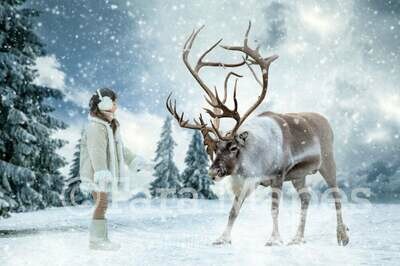 Reindeer in Snow by Pine Trees - Snowy Scene with Reindeer - Christmas Holiday Digital Background Backdrop