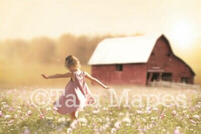 Red Barn in Field of Flowers at Sunset Digital Background / Backdrop