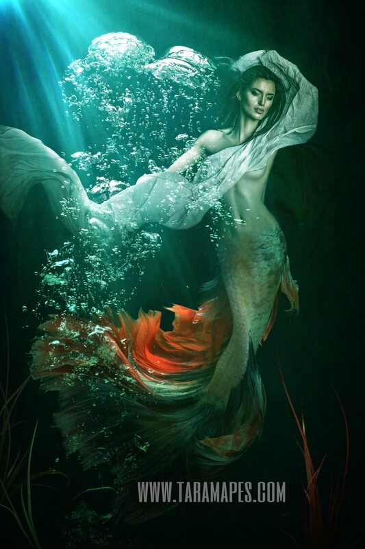 Realistic Dark Mermaid Underwater - Layered PSD Mermaid Digital Background Backdrop - Separate Element Layers -Tail Layer is Separate