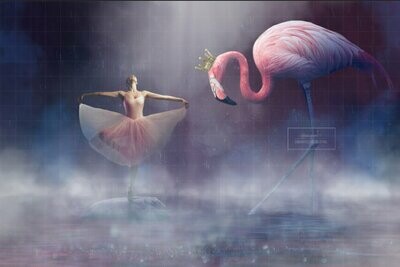 Pink Flamingo with Crown at Night in Lake Digital Background Backdrop
