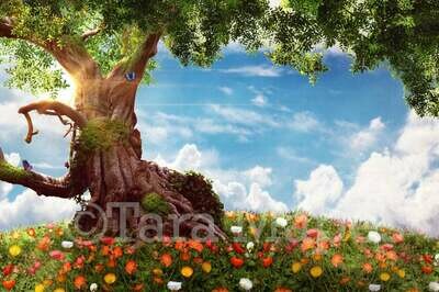 Tree on Flowering Hill Digital Background / Backdrop