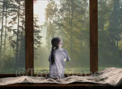 Spring Window Sunny Creamy Digital Background Backdrop