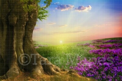 Summer Tree in Field Creamy Nature Digital Background Backdrop