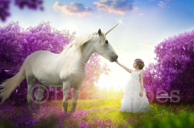Unicorn in Cherry Blossoms Purple Flowers with Sun Creamy Digital Background Backdrop