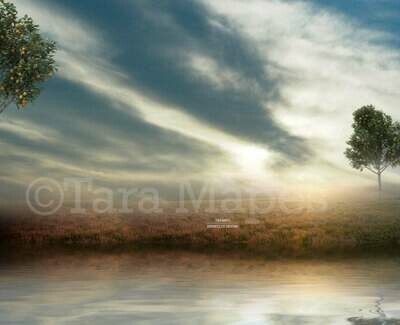 Trees by Lake  - Lake in Field-  Creamy Background with Sunset- Digital Background Backdrop