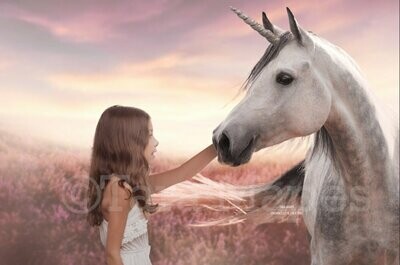 Unicorn Close Up in Field of Heather Violet Flowers with Sun - Pet Unicorn Creamy Digital Background Backdrop