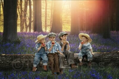 Tree Stump Log Branch in Creamy Blue Bell Bluebell Forest Digital Background / Backdrop