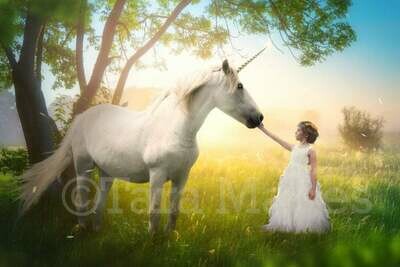 Unicorn in Field by Tree with Sun Creamy Digital Background Backdrop