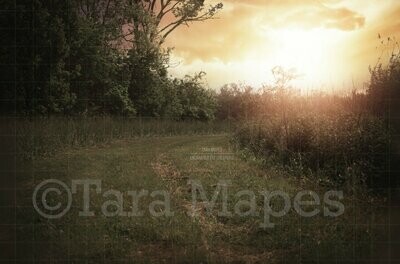 Sunset Grassy Path Magic Background Backdrop