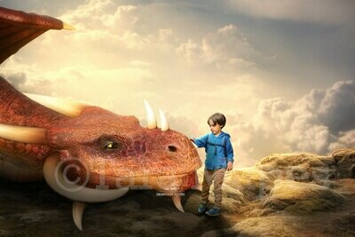 Smiling Dragon Laying on Rocks Friendly Dragon Digital Background / Backdrop