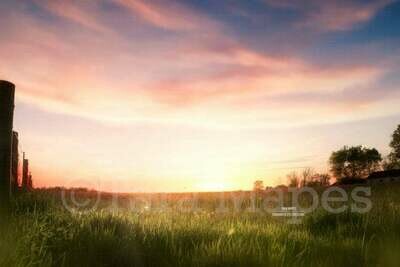Sunset Field by Fence Creamy Nature Background Backdrop