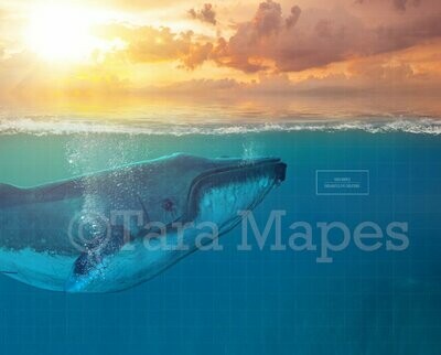 Whale in Ocean Digital Background Backdrop