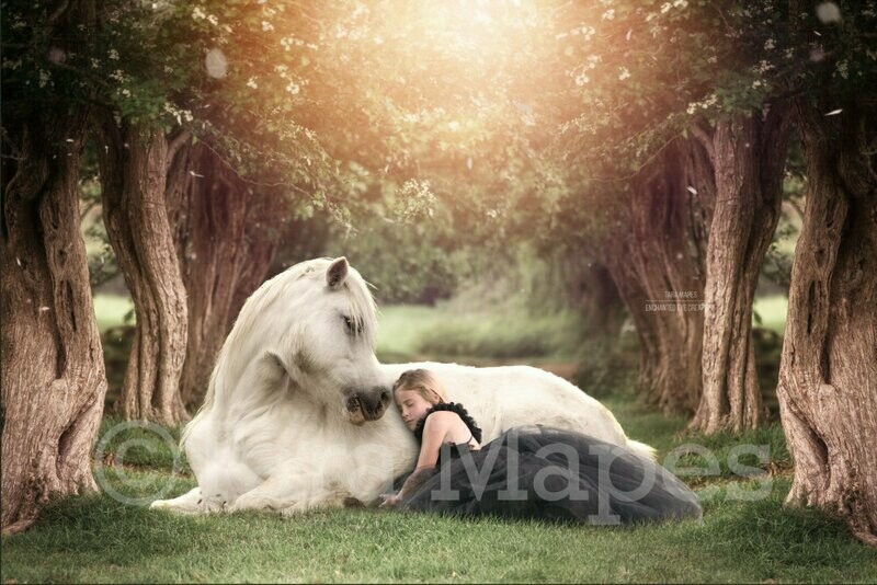 White Horse in Creamy Tree Tunnel Digital Background / Backdrop