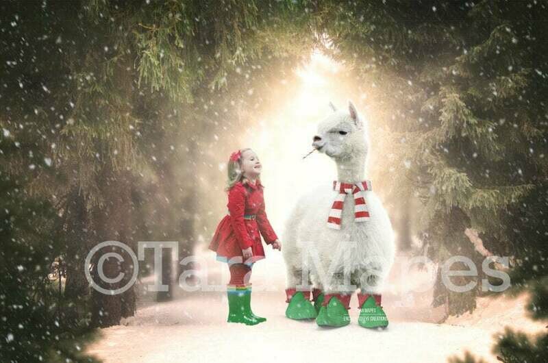 White Christmas Alpaca in Pines - Winter Holiday  Digital Background - Alpaca digital backdrop - Funny Christmas Digital Background Backdrop