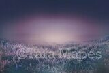 Warm Field of Lavender Heather Flowers at Dusk Digital Background / Backdrop