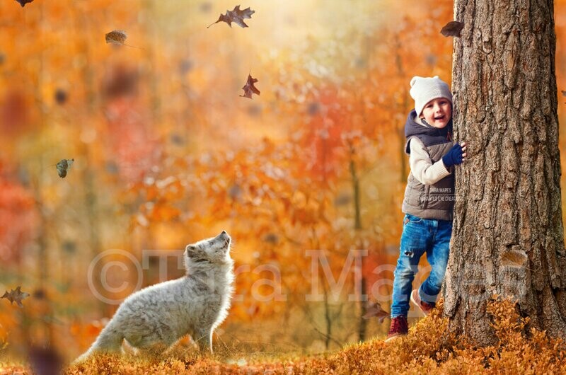 White Fox by Tree in Forest Autumn Fall Leaves Digital Background Backdrop