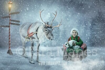 Reindeer by North Pole - Rudolph by Lamp - Winter Tree Stump - Snowy Pine Trees Christmas Holiday Digital Background Backdrop