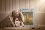 Velveteen Rabbit Digital Background / Backdrop