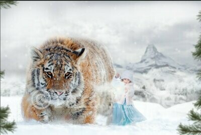 Tiger in Snow Mountains Digital Background / Backdrop