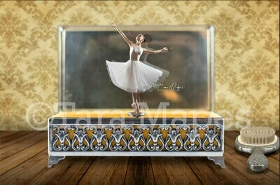 Vintage Music Box Ballerina Digital Background Backdrop NOT A PHYSICAL MUSIC BOX