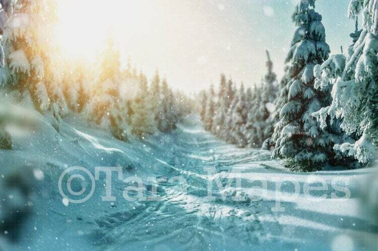 Winter Path in Snow with Sun Digital Background / Backdrop