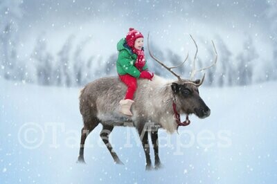 Smiling Reindeer- Riding Deer - Snowy Scene with Reindeer Smile - Christmas Holiday Digital Background Backdrop