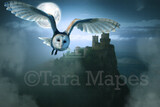 Owl by Castle - Castle at Night Scene Digital Background / Backdrop