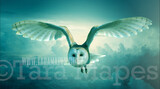 Owl in sky - Owl Flying Scene Digital Background / Backdrop