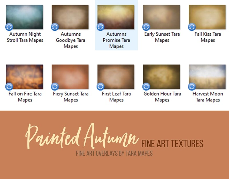 10 Painted Autumn Fine Art Textures -  Rich Fall Color Overlays - Texture Overlays -Photoshop Overlays Tara Mapes - Video Demo in Description