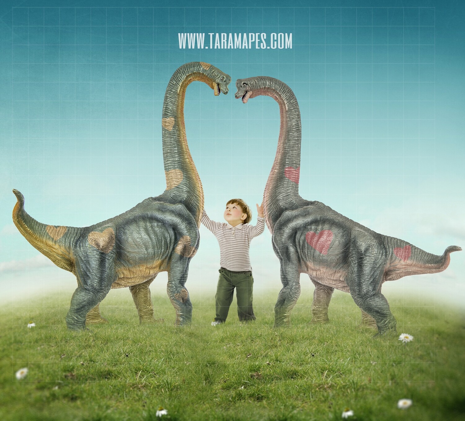 Valentine Dinosaurs - Nice Dinosaurs - Dinosaur Heart -Digital Background / Backdrop
