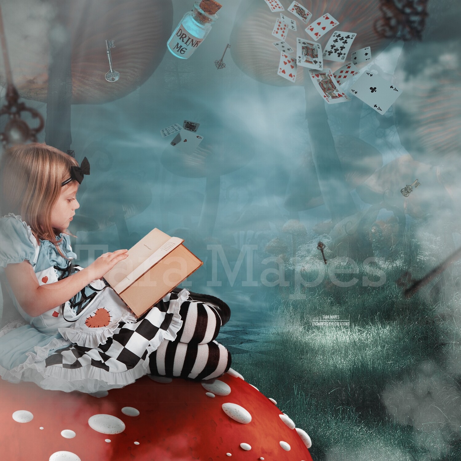 Down the Rabbit Hole - Falling -Alice in Wonderland inspired- Tunnel - Digital Background / Backdrop