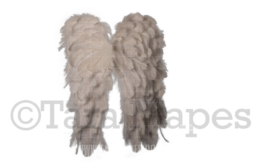 White Ostrich Feather Wings PNG Fairy Wing Digital Overlay - 3 Wings - Fairy Wing Overlay PNG - Fairy Wing Overlay - Fairy Wings- Digital Wing