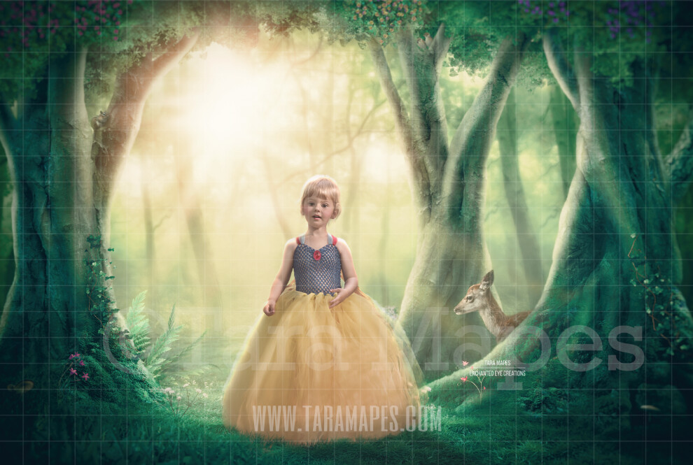 Snow White Forest - Animals in Forest - Animals in Enchanted Forest Digital Background Backdrop