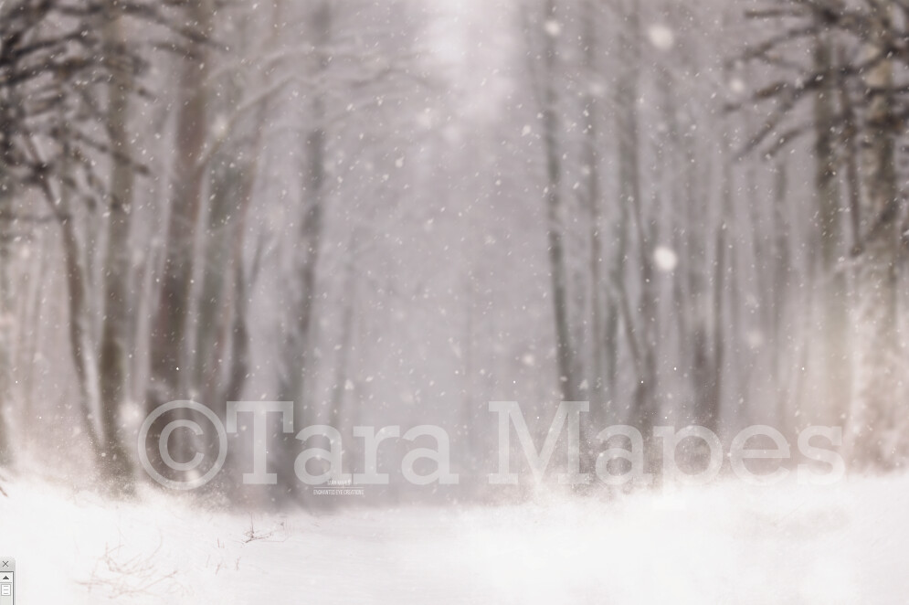 Snowy Scene Winter Wonderland Digital Background Backdrop - Free Snow Overlay included
