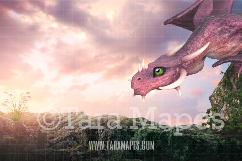Nice Dragon on Rock - Sweet Dragon with Big Eyes Digital Background