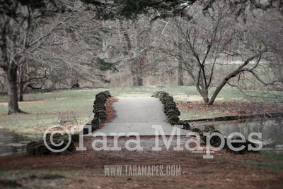 Old Stone Bridge Over Lake - Bridge by Lake - Digital Background by Tara Mapes