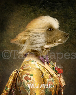 Pet Portrait Female Body PSD Template - Pet Painting Portrait Body 2- Layered PSD  Digital Background Backdrop