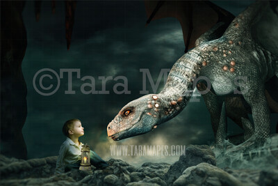 Nice Dragon on Rock - Sweet Smiling Dragon Digital Background