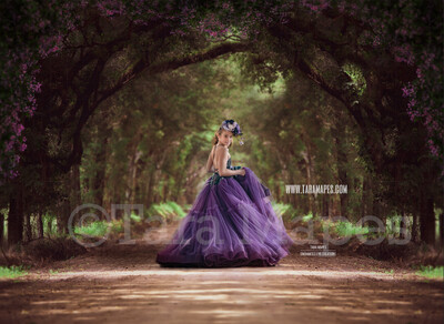 Forest Tree Tunnel Long Dirt Road Surrounded by Trees and Flowers Digital Background Backdrop