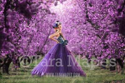 Purple Tree Blossoms Orchard - Cherry Blossom Tunnel - Creamy Rich Japanese Cherry Trees Digital Background / Backdrop